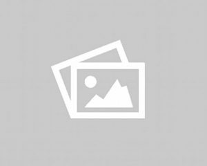 product - image
